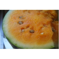 Watermelon Tendersweet Orange Great Heirloom Vegetable By Seed Kingdom 25 Seeds   